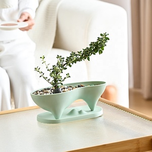 Maceta de Plástico con Forma de Isla de Ballenas Clásica para Bonsái y Paisajes, con Bandeja - Product Image 2