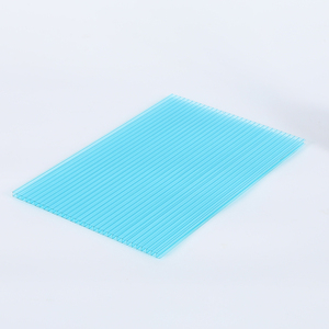 Lámina de <span class=keywords><strong>Policarbonato</strong></span> Transparente de Doble Capa, Lámina de PC de Pared Doble de 4 mm y 10 mm con Bloqueo UV, para Decoración de Techos - Product Image 3