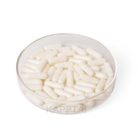 Capsules dures HPMC Capsules vides de gélatine de diverses tailles