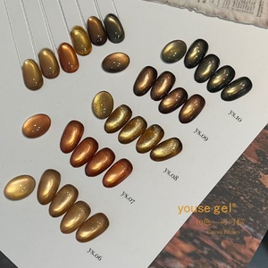 New 10 Color cat Eye <b>Gel</b> <b>Set</b> Delivery Display Board <b>Nail</b> Salon Exclusive Small <b>Set</b> Wholesale Customization - Product Image 5