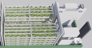 Sistema de Cultivo Vertical Inteligente Aeropónico/Hidropónico por Goteo Personalizado para Contenedor de Envío de 40 Pies, Torre NFT/EBB, 1 Año - Product Image 6