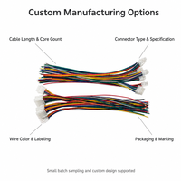 Fabrication professionnelle sur mesure de tous types de câbles électroniques industriels Molex Jst, faisceaux de câbles