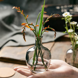 Vendita calda di fiori per la casa vaso di decorazione a goccia d'acqua a forma di bottiglia di vetro diffusore logo personalizzato promozione artigianato - Product Image 2
