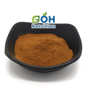 GOH Supplement High Quality Lemon Balm Leaf Extract Powder Melissa Officinalis Lemon Balm Extract