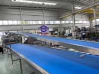 Automatische marshmallow-extruder productielijn met depositiemodule voor meerdere kleuren gevulde marshmallows