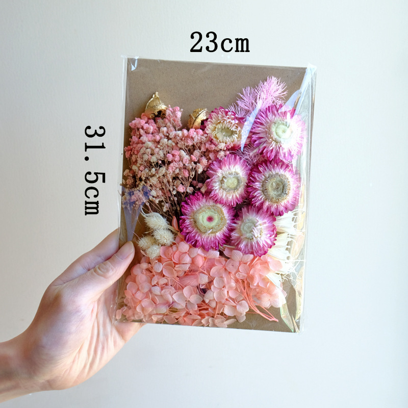 Fleur séchée#10