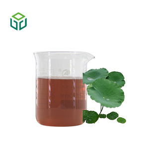 مسحوق مستخلص أوراق اللوتس الطبيعي عالي النقاء، مكمل غذائي لإنقاص الوزن، تصنيع حسب الطلب بالجملة من المصنع - Product Image 3