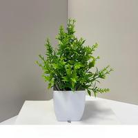 Plante artificielle verte en pot, fausse plante en plastique, mini bonsaï, pot blanc, ornement de bureau, décoration pour la maison, le salon ou le bureau