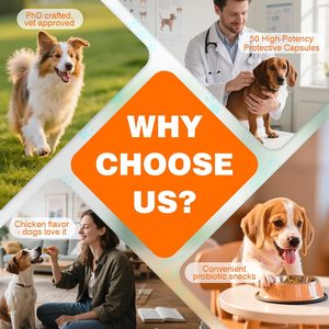 Probiotiques pour chiens OEM ODM sous forme de friandises molles pour le soutien immunitaire et la santé digestive, absorption rapide, toutes races et étapes de vie - Product Image 2