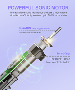 <span class=keywords><strong>Cepillo</strong></span> <span class=keywords><strong>de</strong></span> <span class=keywords><strong>dientes</strong></span> eléctrico sónico para adultos al <span class=keywords><strong>mejor</strong></span> <span class=keywords><strong>precio</strong></span> <span class=keywords><strong>de</strong></span> OEM Source Factory, <span class=keywords><strong>calidad</strong></span> superior con batería recargable USB IPX7 - Product Image 2