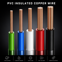 Fil électrique en cuivre 300 mm, monoconducteur, isolé en PVC, BV 450 750V, câble de câblage pour bâtiments, câblage domestique, CE