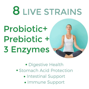 Gotas Líquidas de Jengibre Probiótico Orgánico OEM/ODM de Fábrica MY, 8 Cepas para la Salud Intestinal Inmunológica y Apoyo a la Digestión, Vegano, Sin Azúcar, 24 Meses - Product Image 5