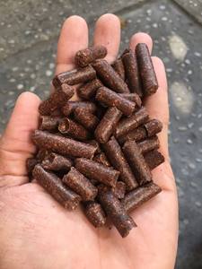 GRANULES DE COQUE DE NOIX DE CAJOU du VIETNAM pour L'EXTRACTION DE TANNIN DÉCHETS AGRICOLES - Product Image 2