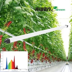 Proveedor profesional Dimmable Full Spectrum 1/2/3/4 Bar 100W/BAR Interior Plant <span class=keywords><strong>Interlight</strong></span> Led Grow Light - Product Image 6