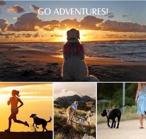 <span class=keywords><strong>Alforjas</strong></span> de nailon <span class=keywords><strong>para</strong></span> <span class=keywords><strong>perros</strong></span> y mascotas, mochila de viaje <span class=keywords><strong>para</strong></span> acampar y senderismo <span class=keywords><strong>para</strong></span> <span class=keywords><strong>perros</strong></span> pequeños, medianos y grandes, bolsa de sillín <span class=keywords><strong>para</strong></span> <span class=keywords><strong>perros</strong></span> - Product Image 4