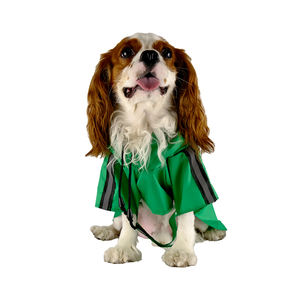 새로운 소형 중형 방수 범용 애완 동물 비옷 반사 개 애완 동물 비옷 야외 투어 - Product Image 1