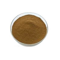 Hamamelis Virginiana Extrait 0.5% Poudre de tanin d'hamamélis
