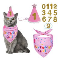 Ensemble Bandana et Chapeau d'Anniversaire pour Animaux de Compagnie, Motif Numérique, Accessoires de Célébration Colorés pour Chiens et Chats