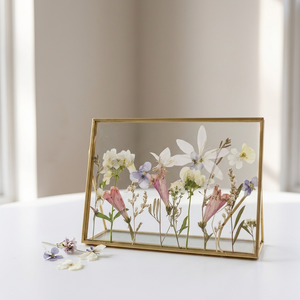 Marcos de Latón con Doble Vidrio de Forma Rectangular Horizontal para Flores y Hojas Secas - Product Image 2