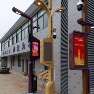 Bsw Bsw Bsw-sm-01 Bibo Customized Height Outdoor Smart Smart Cities <b>Led</b> Smart Street <b>Light</b> <b>with</b> Charge Station Integrated - Product Image 1