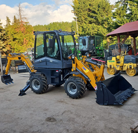Produttore Mini terne prezzo fattoria frutteto uso domestico 4x4 gommata con cabina e condizionatore spedizione veloce