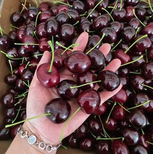 Modelo de Cereza Artificial para Fotografía, Manualidades de Polifoam, Decoraciones de Fruta de Cereza, Cereza Artificial de Espuma - Product Image 2