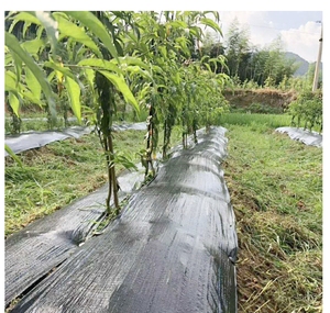 Feuille de paillage anti-mauvaises herbes en polypropylène tissé écologique à prix d'usine - Product Image 4