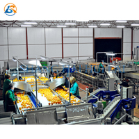 Commercial industriel Petite Mangue Manioc Machine à Laver les Fruits Gingembre Pomme de Laitue Tomate Carotte Laveuse De Légumes