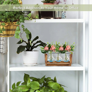 Terrario de Escritorio para Plantas Aéreas con Base de Madera Sólida y Florero de Vidrio para Propagación de Plantas - Product Image 2