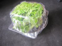Conteneur alimentaire OEM en plastique PET de qualité alimentaire, type blister, double coque ronde pour légumes, emballage pour laitue avec fermeture sécurisée pour laitue vivante