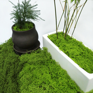 Style classique bionique mousse soie pelouse bonsaï Simulation numérique plante verte herbe décoration mousse artificielle aménagement paysager chaussée - Product Image 1