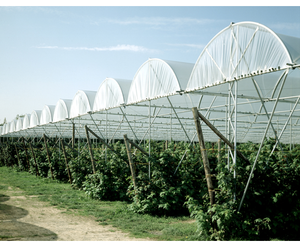 RAIN COVER Tunnel <b>Greenhouse</b> Rain Shelter <b>Greenhouse</b> - Product Image 1