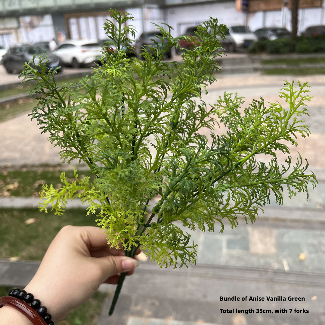 2# Bunch of anise grass Green