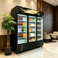 Congélateur vertical à refroidissement par ventilateur, armoire de stockage commerciale pour aliments et boissons surgelés avec porte vitrée