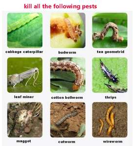 <span class=keywords><strong>Insecticida</strong></span> Agrícola Lambda-Cihalotrina 2.5% EC OEM, 1L 5L 20L a Granel, para el Control de Plagas Agrícolas - Product Image 4