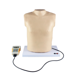 Simulador <span class=keywords><strong>de</strong></span> auscultación cardiopulmonar completamente automático con <span class=keywords><strong>Biblioteca</strong></span> <span class=keywords><strong>de</strong></span> sonidos patológicos - Product Image 3