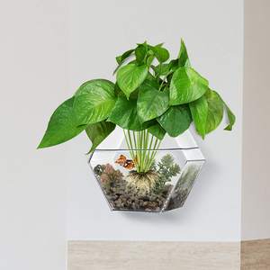 Pecera Hexagonal de 1 Galón para Colgar en la Pared, con Cadena de Luces Impermeable, Acuario de Acrílico Transparente - Product Image 2