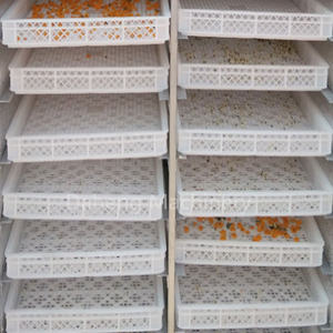 <span class=keywords><strong>Macchina</strong></span> per asciugare le albicocche autocontrollo a temperatura - Product Image 4