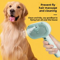 YR J-6 Peigne pour chat en plastique avec pulvérisateur anti-poils volants, outil de toilettage à bouton unique, manche ondulé, rechargeable, sans parfum