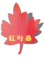 Shandong Gold Hongye Net Co., Ltd. logo