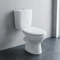 Appareils sanitaires en céramique salle de bain en deux parties WC au sol toilette fendue de l'usine indienne directe à bas prix