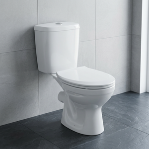 Inodoro dividido de WC montado en el suelo de baño de dos piezas sanitario de cerámica directo de fábrica india a precio barato - Product Image 2