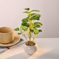 Fleurs artificielles en soie, fausse verdure, mini plantes en pot, décoration intérieure, ornements pour mariages et fêtes