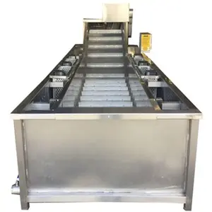 Goede Prestaties Automatische Garnalen/Vis/Zeevruchten Ijsbeglazing Machine Ijs Coating Machine