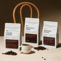 Sachets plats transparents givrés personnalisés pour café, résistants à l'humidité, de qualité alimentaire, en plastique transparent, avec fermeture éclair