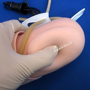 Modèle d'entraînement pour <span class=keywords><strong>la</strong></span> <span class=keywords><strong>mesure</strong></span> de <span class=keywords><strong>la</strong></span> <span class=keywords><strong>pression</strong></span> artérielle, vente chaude - Product Image 4