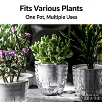 Pot auto-arrosant pour plantes succulentes, récipient hydroponique transparent en plastique, vase de culture aquatique au design élégant