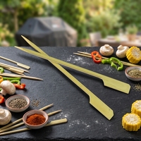 Brochettes de barbecue en bambou jetables de qualité alimentaire, écologiques et biodégradables, style palette, Sanyou DZ25-03