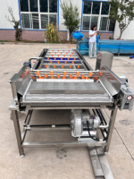 Industriële Automatische Transportband Luchtbel Fruit Wassen En Schoonmaken Machine Blad Ozon Druk Bubble Wasmachine Reiniger