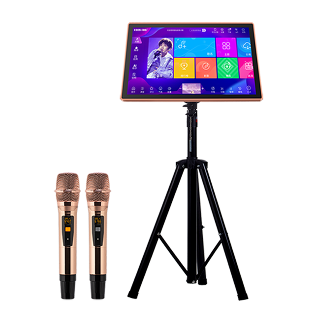 Outdoor All-In-One Home Mobile DSP Machine Full Set Karaoke System for Mobile Outdoor Karaoke Players